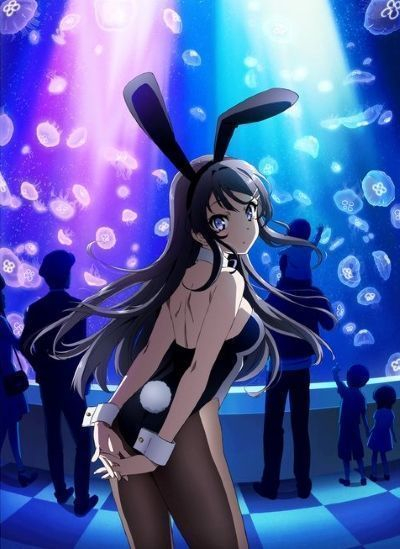 Этот глупый свин не понимает мечту девочки-зайки / Seishun Buta Yarou wa Bunny Girl Senpai no Yume o Minai [13 из 13]